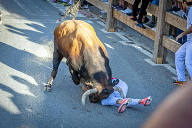 Secuencia del corneado en el primer encierro de las fiestas de Tafalla