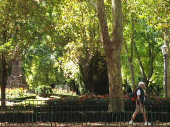 Paseando por la Taconera.