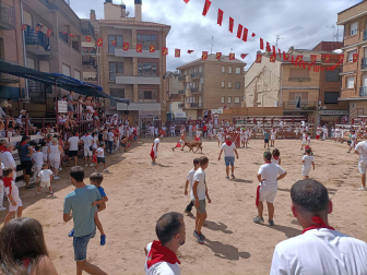 Celebración del Día del Niño en Mendavia.