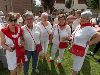 Fotos del cohete de fiestas de Ayegui 2023.