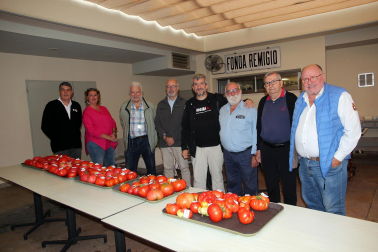 Fotos del Concurso de Tomate Feo de Tudela 2023.