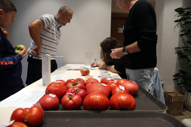 Fotos del Concurso de Tomate Feo de Tudela 2023.