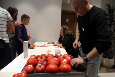 Fotos del Concurso de Tomate Feo de Tudela 2023.