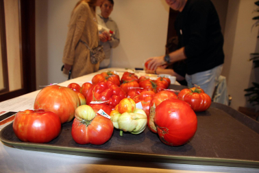 Fotos del Concurso de Tomate Feo de Tudela 2023.