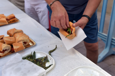 Imágenes del Día del Niño en las fiestas de Azagra