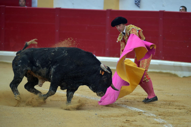 Imágenes de la novillada de las fiestas de Peralta