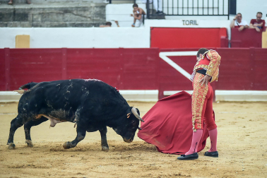 Imágenes de la novillada de las fiestas de Peralta