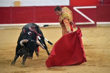 Imágenes de la novillada de las fiestas de Peralta