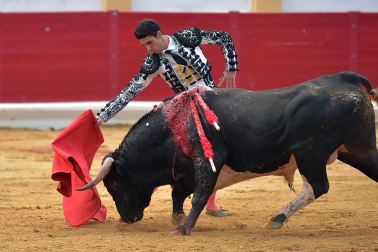 Imágenes de la novillada de las fiestas de Peralta