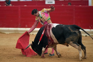 Imágenes de la novillada de las fiestas de Peralta