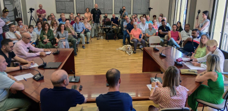 Vista del concurrido salón de plenos del Ayuntamiento de Lerín durante el pleno extraordinario de este jueves