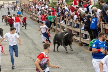 Fotos del sexto y último encierro de las fiestas de Sangüesa.