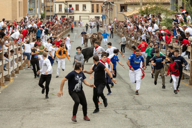 Fotos del sexto y último encierro de las fiestas de Sangüesa.