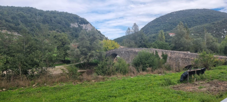 Puente románico en Aribe.