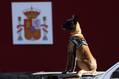 Fotos del desfile en Madrid del Día de la Fiesta Nacional