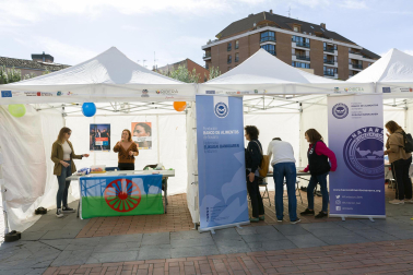 Fotos de la Feria de Entidades Sociales de Tudela