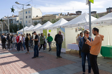 Fotos de la Feria de Entidades Sociales de Tudela
