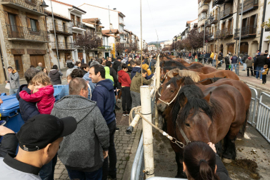 Imágenes de las Ferias de Alsasua