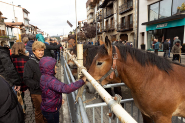 Imágenes de las Ferias de Alsasua