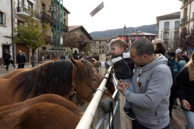 Imágenes de las Ferias de Alsasua