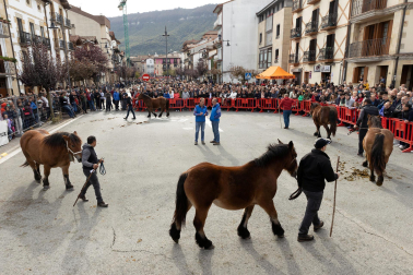 Imágenes de las Ferias de Alsasua