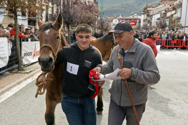 Imágenes de las Ferias de Alsasua