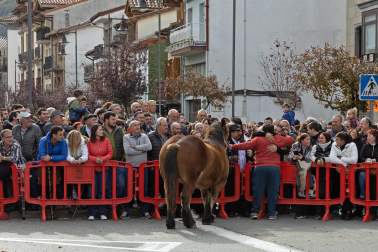 Imágenes de las Ferias de Alsasua