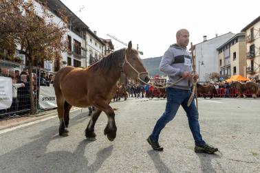 Imágenes de las Ferias de Alsasua