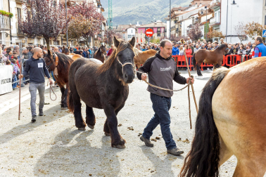 Imágenes de las Ferias de Alsasua