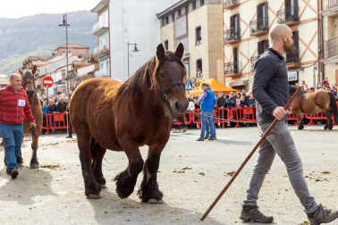Imágenes de las Ferias de Alsasua