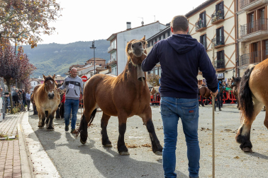 Imágenes de las Ferias de Alsasua