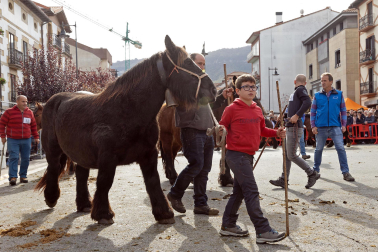 Imágenes de las Ferias de Alsasua