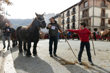 Imágenes de las Ferias de Alsasua