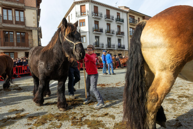 Imágenes de las Ferias de Alsasua