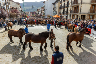 Imágenes de las Ferias de Alsasua