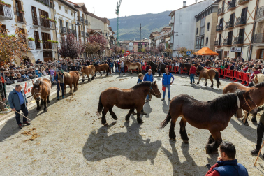 Imágenes de las Ferias de Alsasua