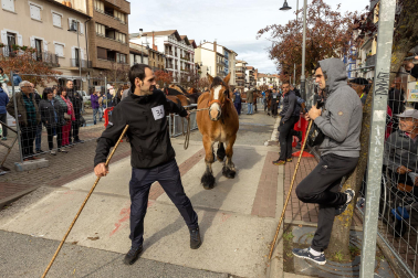 Imágenes de las Ferias de Alsasua