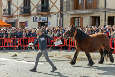 Imágenes de las Ferias de Alsasua