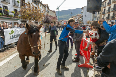 Imágenes de las Ferias de Alsasua