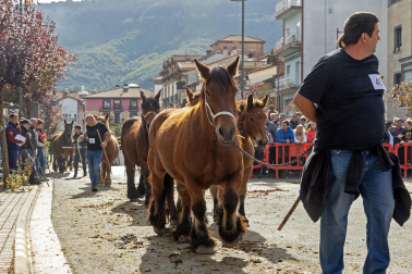 Imágenes de las Ferias de Alsasua