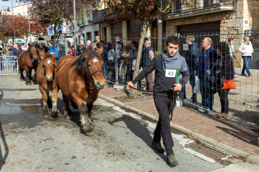 Imágenes de las Ferias de Alsasua