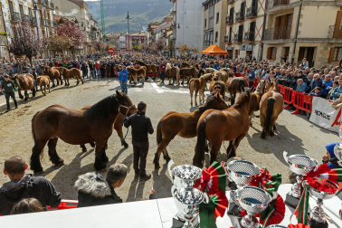 Imágenes de las Ferias de Alsasua