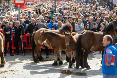 Imágenes de las Ferias de Alsasua