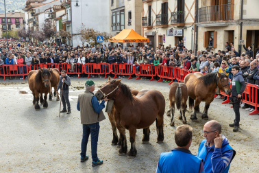 Imágenes de las Ferias de Alsasua