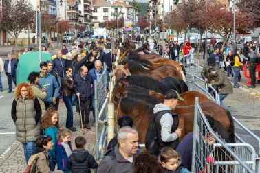 Imágenes de las Ferias de Alsasua