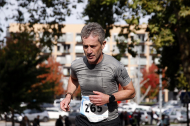 Imágenes de la Zubiri-Pamplona