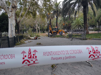 Imagen de los daños de la borrasca Bernard en Andalucía