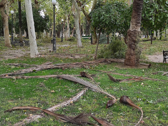 Imagen de los daños de la borrasca Bernard en Andalucía