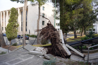 Imagen de los daños de la borrasca Bernard en Andalucía