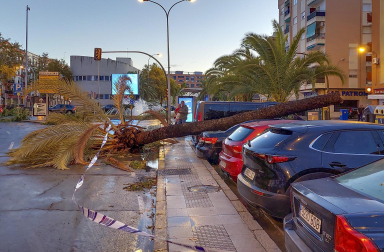 Imagen de los daños de la borrasca Bernard en Andalucía